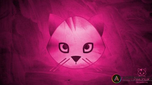 Pisi Linux Nedir?
