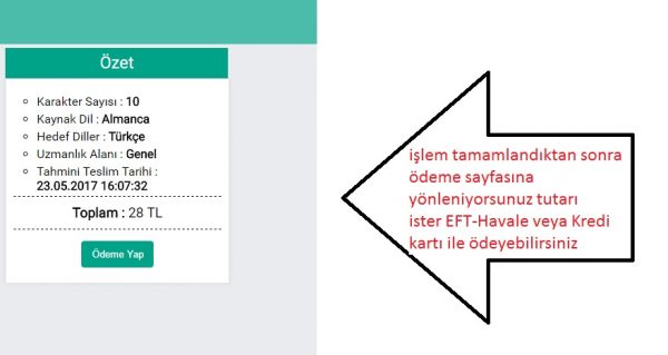Online Tercüme’de Yıllık Beklenti 1 Milyar Türk Lirası
