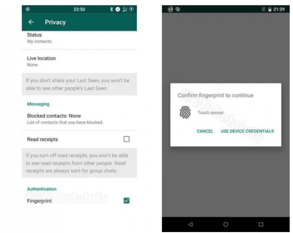 Android İçin Whatsapp'a Güncelleme