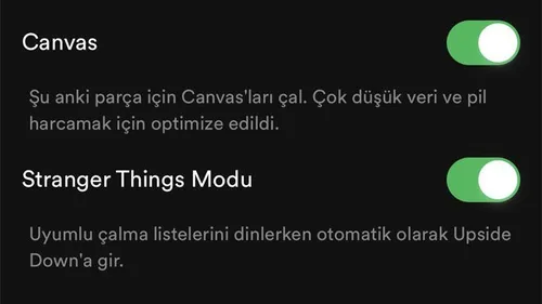Spotify Otomatik Video Oynatma Nasıl Kapatılır?