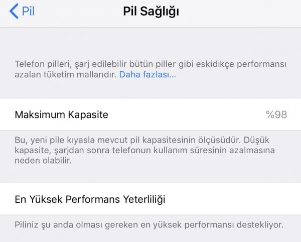 pil sağlığı
