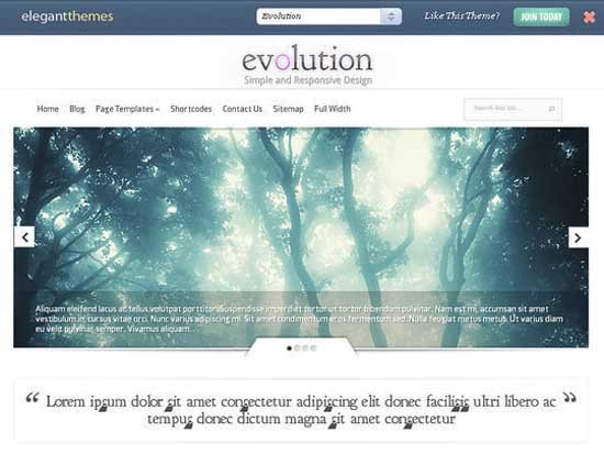 Wordpress-Themes-Responsive-32 Wordpress Themes Responsive