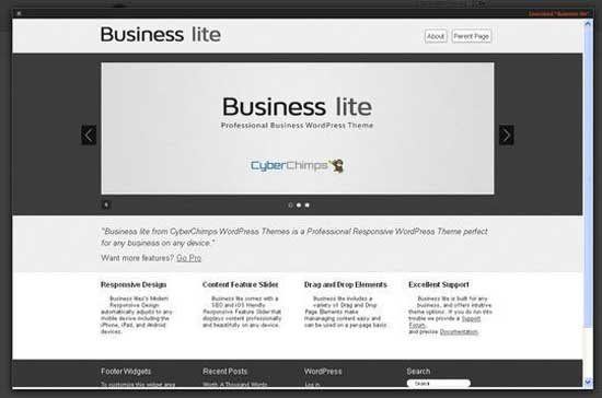 Wordpress-Themes-Responsive-37 Wordpress Themes Responsive