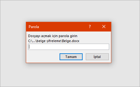 Office Dosyalarını Şifreleme