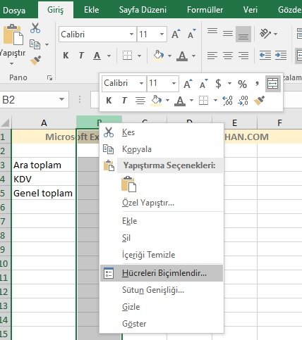 Excel para birimi ayarları