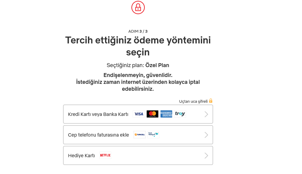 NetFlix ödeme sayfası