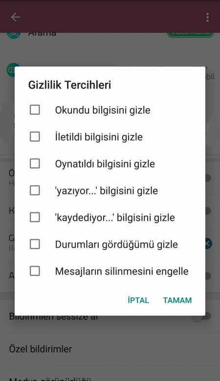 WhatsApp Plus gizlilik seçenekleri