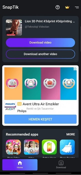 SnapTik video indirme ekranı