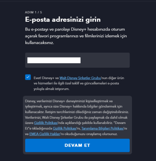 Disney Plus gizlilik politikası
